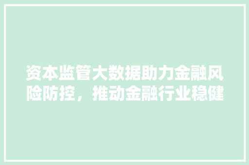 资本监管大数据助力金融风险防控，推动金融行业稳健发展