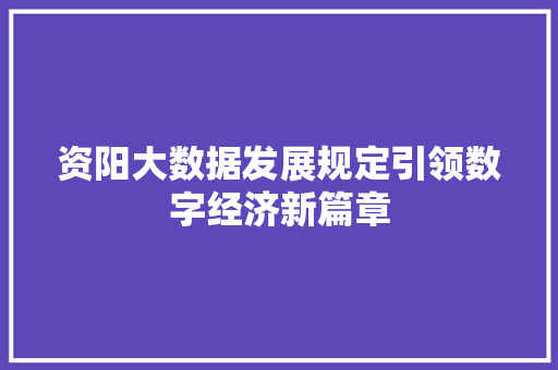 资阳大数据发展规定引领数字经济新篇章