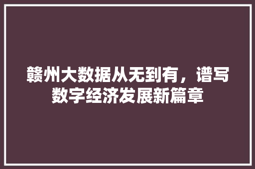 赣州大数据从无到有，谱写数字经济发展新篇章  第1张