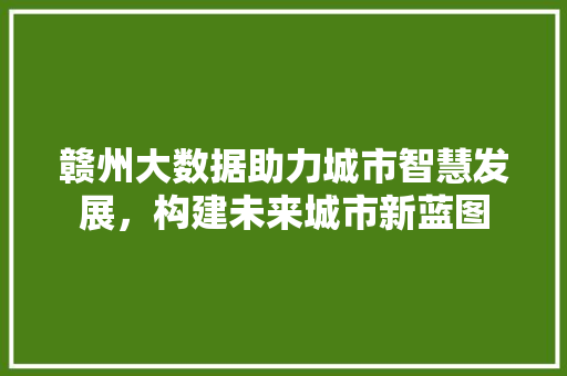 赣州大数据助力城市智慧发展，构建未来城市新蓝图  第1张