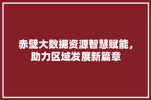 赤壁大数据资源智慧赋能，助力区域发展新篇章