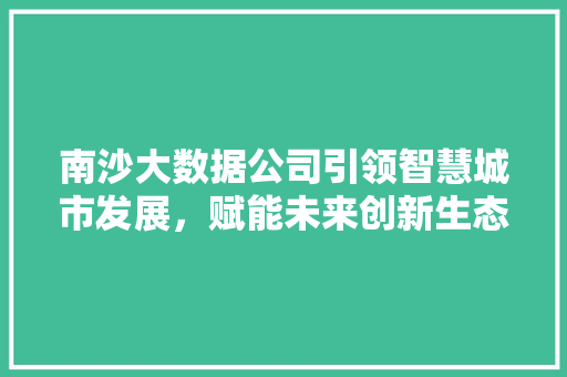 南沙大数据公司引领智慧城市发展，赋能未来创新生态
