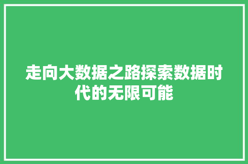 走向大数据之路探索数据时代的无限可能