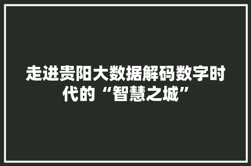 走进贵阳大数据解码数字时代的“智慧之城”