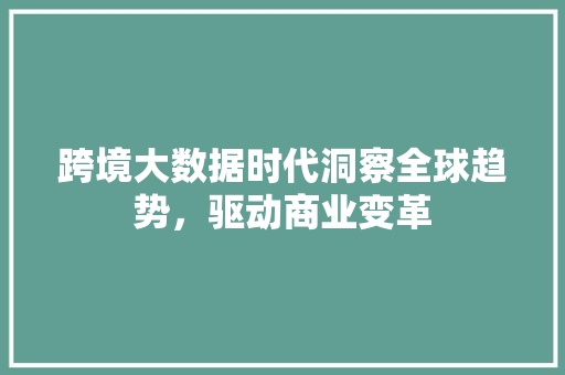 跨境大数据时代洞察全球趋势，驱动商业变革