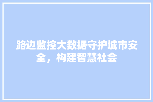 路边监控大数据守护城市安全，构建智慧社会