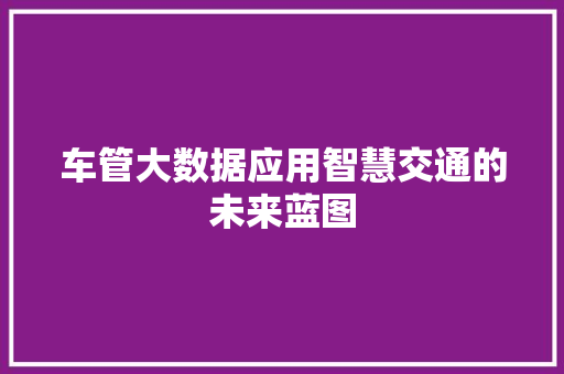 车管大数据应用智慧交通的未来蓝图