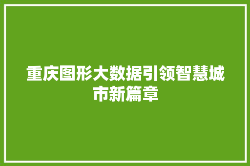 重庆图形大数据引领智慧城市新篇章