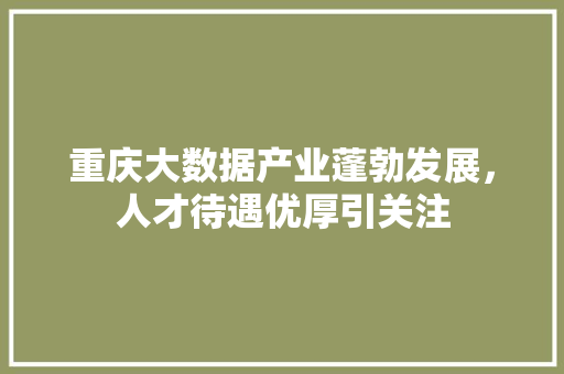 重庆大数据产业蓬勃发展，人才待遇优厚引关注  第1张