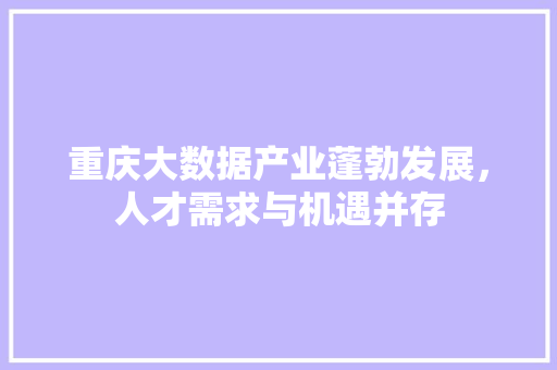 重庆大数据产业蓬勃发展，人才需求与机遇并存  第1张