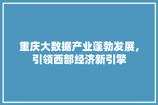 重庆大数据产业蓬勃发展，引领西部经济新引擎  第1张
