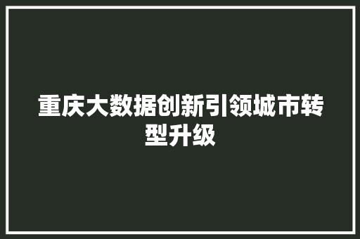 重庆大数据创新引领城市转型升级  第1张