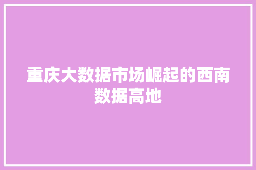 重庆大数据市场崛起的西南数据高地  第1张