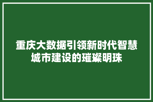 重庆大数据引领新时代智慧城市建设的璀璨明珠  第1张