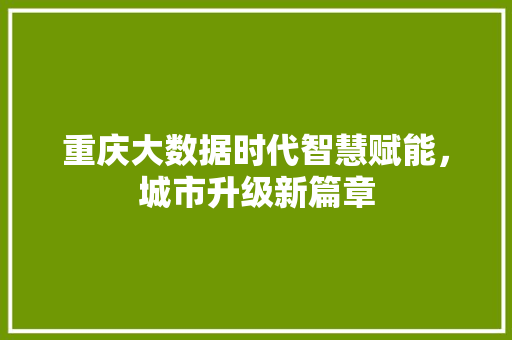 重庆大数据时代智慧赋能，城市升级新篇章  第1张