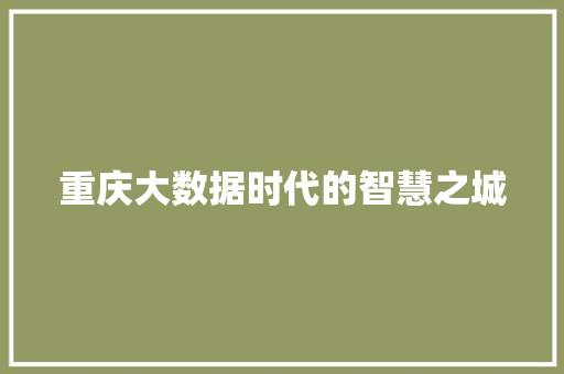 重庆大数据时代的智慧之城  第1张