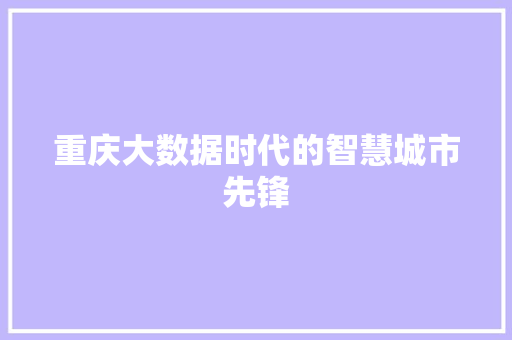重庆大数据时代的智慧城市先锋  第1张