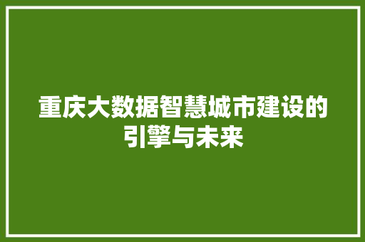 重庆大数据智慧城市建设的引擎与未来  第1张