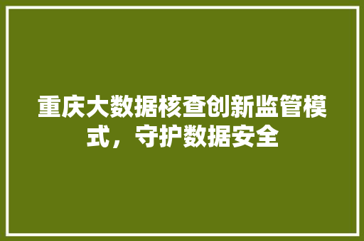 重庆大数据核查创新监管模式，守护数据安全  第1张