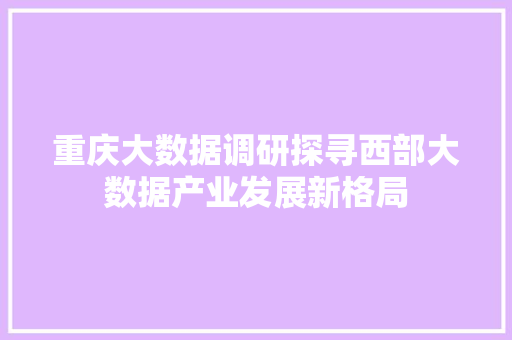 重庆大数据调研探寻西部大数据产业发展新格局  第1张