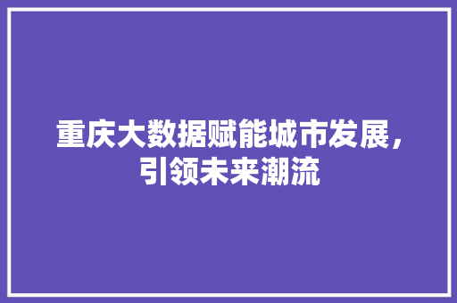 重庆大数据赋能城市发展，引领未来潮流  第1张