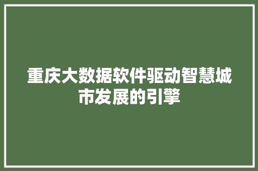 重庆大数据软件驱动智慧城市发展的引擎  第1张