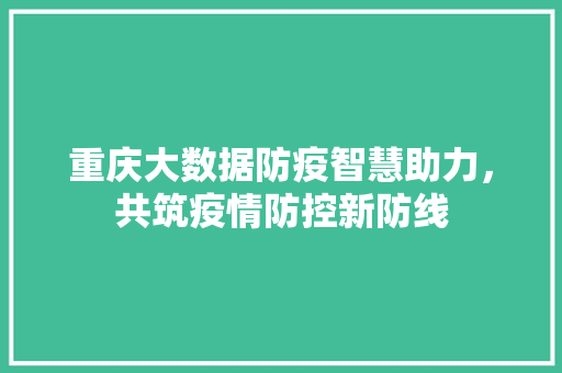 重庆大数据防疫智慧助力，共筑疫情防控新防线  第1张