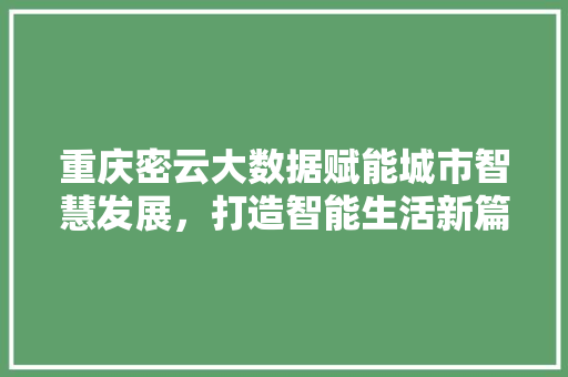 重庆密云大数据赋能城市智慧发展，打造智能生活新篇章