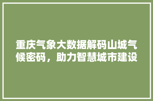 重庆气象大数据解码山城气候密码，助力智慧城市建设