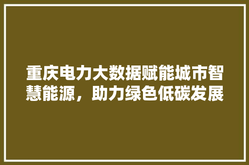 重庆电力大数据赋能城市智慧能源，助力绿色低碳发展