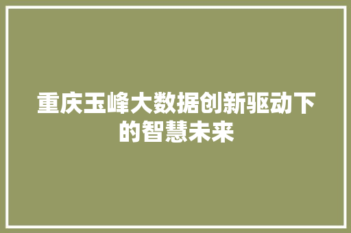 重庆玉峰大数据创新驱动下的智慧未来