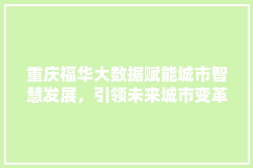 重庆福华大数据赋能城市智慧发展，引领未来城市变革