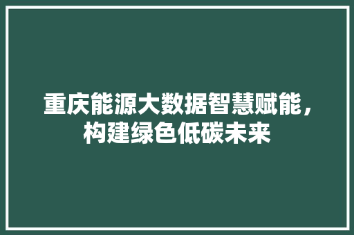 重庆能源大数据智慧赋能，构建绿色低碳未来