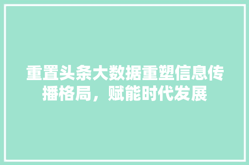 重置头条大数据重塑信息传播格局，赋能时代发展