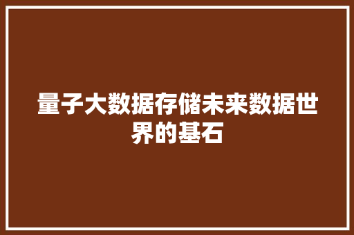 量子大数据存储未来数据世界的基石