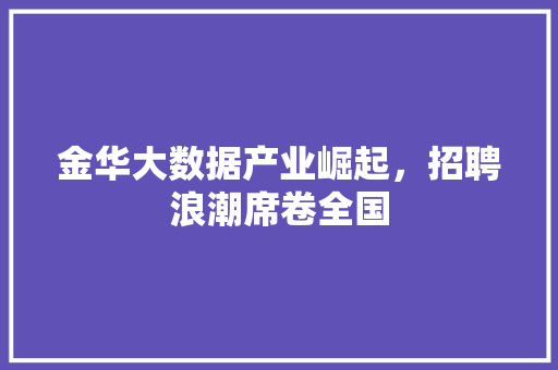 金华大数据产业崛起，招聘浪潮席卷全国  第1张