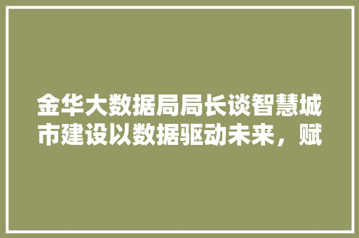 金华大数据局局长谈智慧城市建设以数据驱动未来，赋能城市发展新引擎