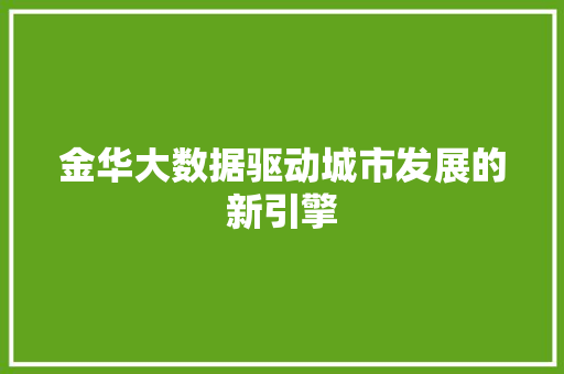 金华大数据驱动城市发展的新引擎