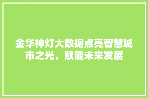 金华神灯大数据点亮智慧城市之光，赋能未来发展