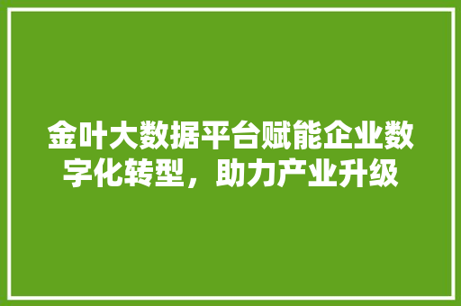 金叶大数据平台赋能企业数字化转型，助力产业升级