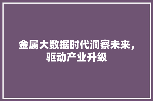 金属大数据时代洞察未来，驱动产业升级