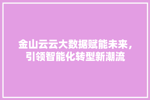 金山云云大数据赋能未来，引领智能化转型新潮流