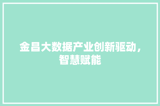 金昌大数据产业创新驱动，智慧赋能