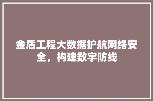 金盾工程大数据护航网络安全，构建数字防线  第1张
