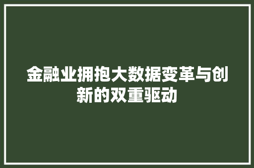 金融业拥抱大数据变革与创新的双重驱动