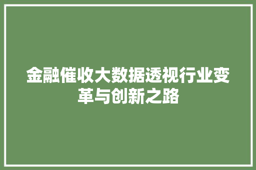 金融催收大数据透视行业变革与创新之路