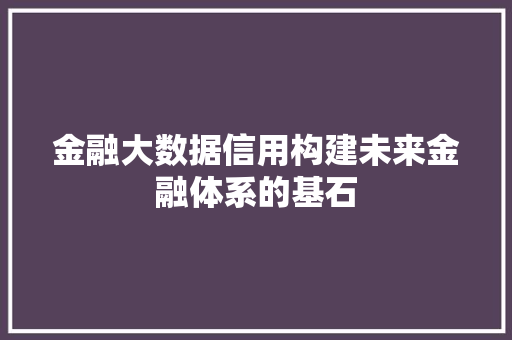 金融大数据信用构建未来金融体系的基石