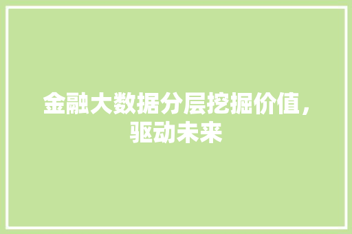 金融大数据分层挖掘价值，驱动未来