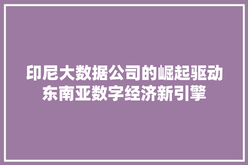 印尼大数据公司的崛起驱动东南亚数字经济新引擎