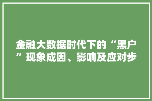 金融大数据时代下的“黑户”现象成因、影响及应对步骤